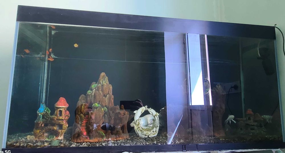 Аквариум 120/60/37