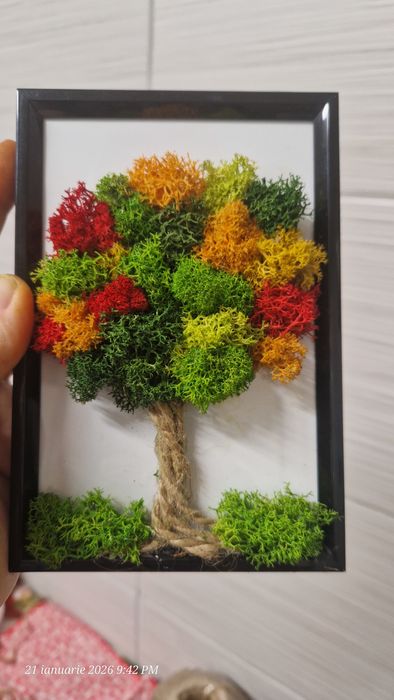 Tablou licheni stabilizati