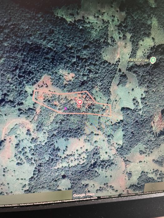 Vind casa, curte 2000 mp, pasune 6 ha, padure 3 ha, Prihodiste, jud HD