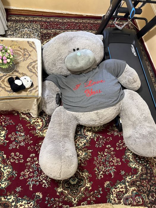 Teddy ayiq judayam kottasi