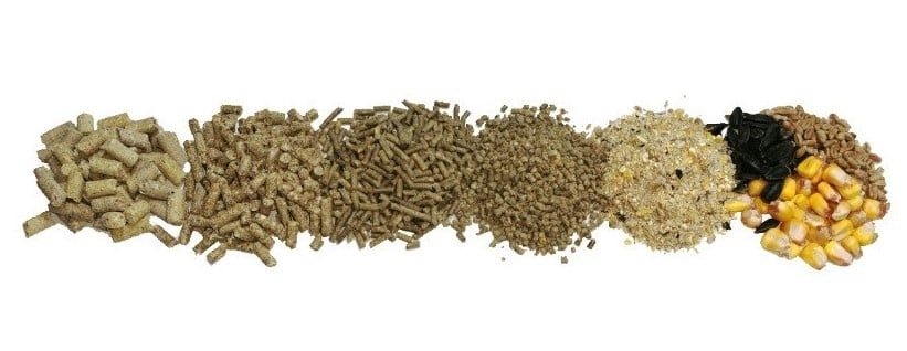 Granulator 200-240 kg/h ieftin si bun