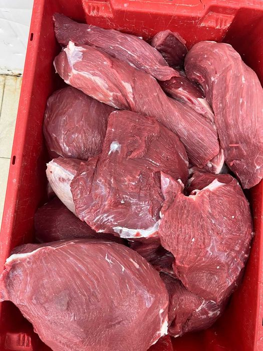 мясо халал, блочная говядина