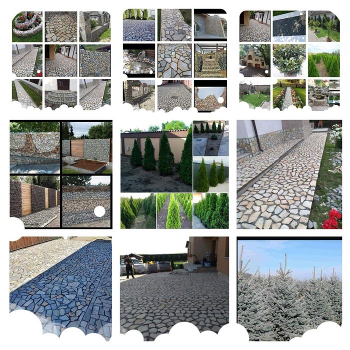 Plante ornamentale tuia. Piatra de placat. Piatra cubica. Gazon rulour