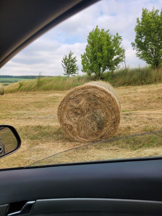 Băloți rotunzi de fân