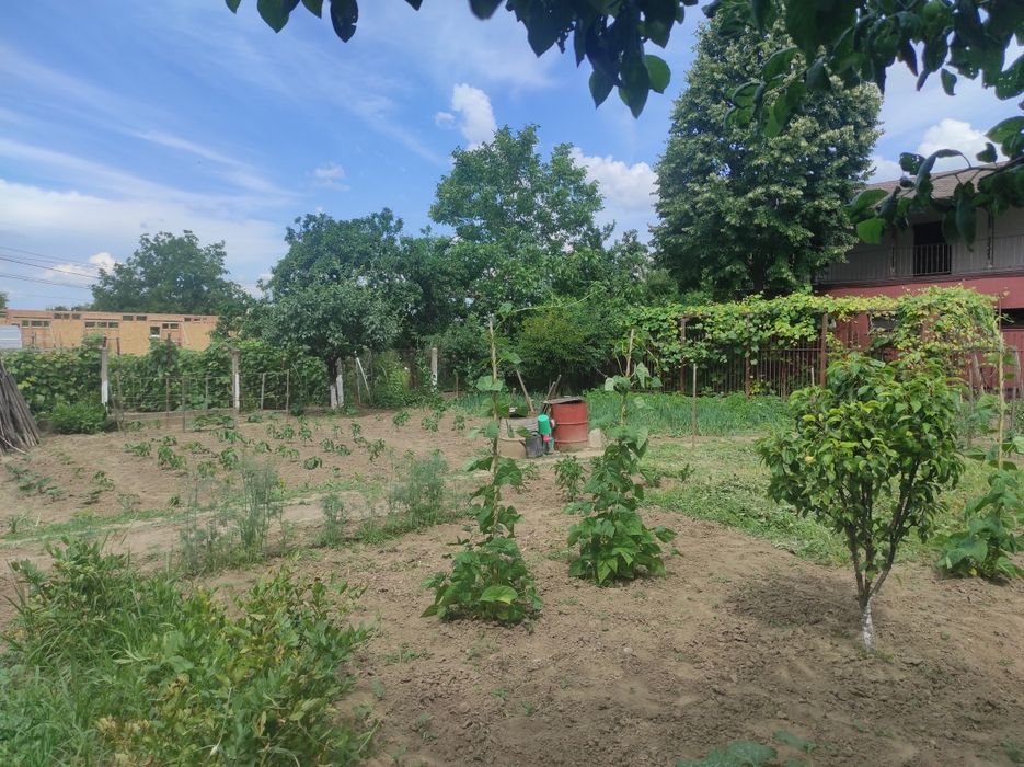 Casa + teren Gheraiesti