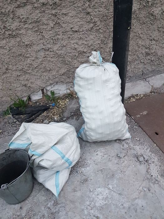 Семена картошки семенной картофель