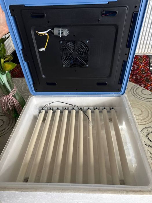 Inkubator tuxum o’chtirish uchun holati a’lo