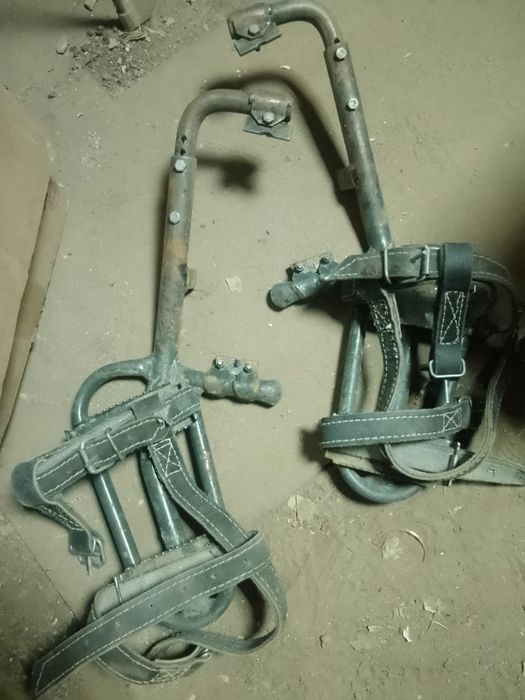 Когти лазы в отличном состоянии