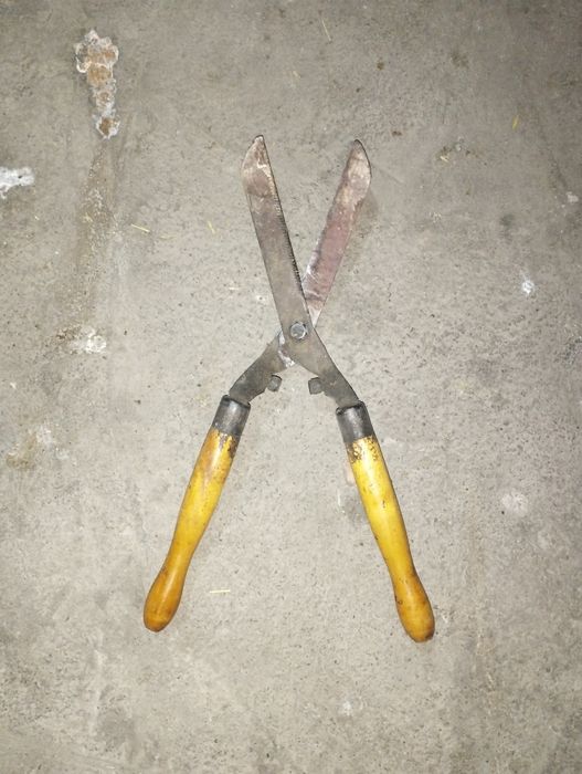 Bogʻ vositasi .qaychi