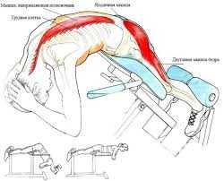 Impulse IT7007 Гиперэкстензия Giperekstantsiya