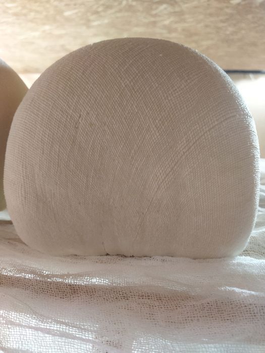 Produse lactate bio: Cas / Urda / Lapte Capra - Livrare la domiciliu