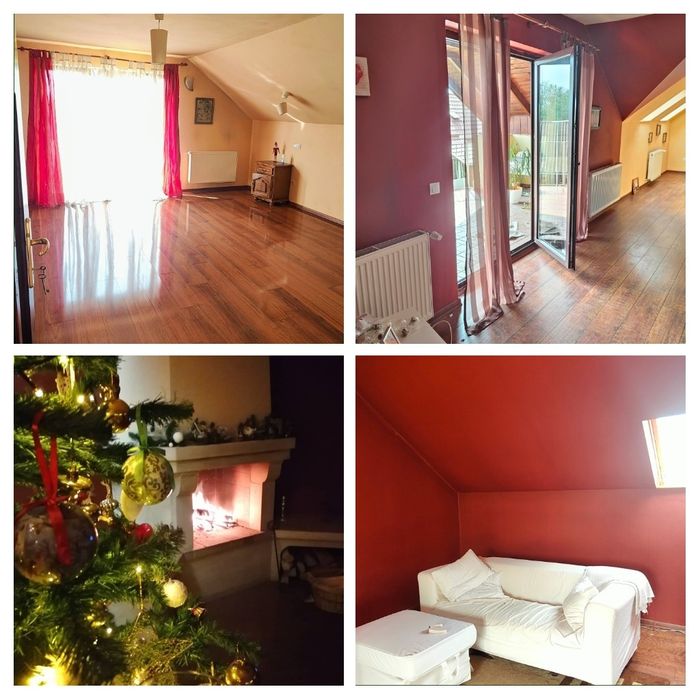 Proprietate 2 case + 1 ha teren Șintereag