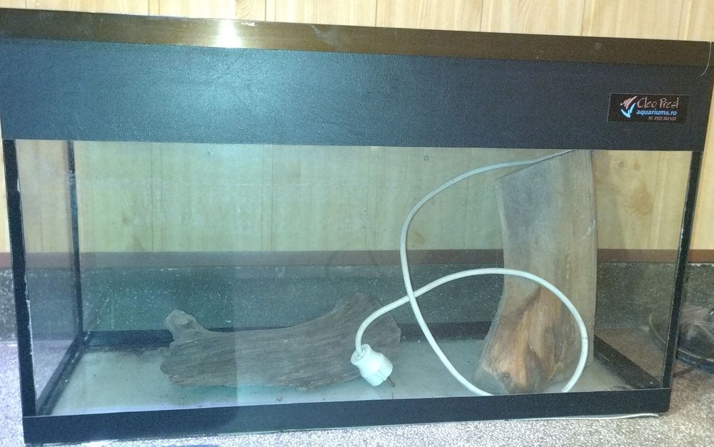 Acvariu Cleo 70cm.