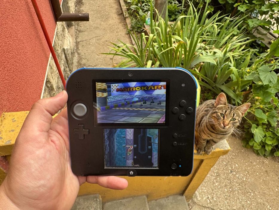 nintendo 2ds игра