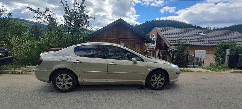 Vand peugeout 407