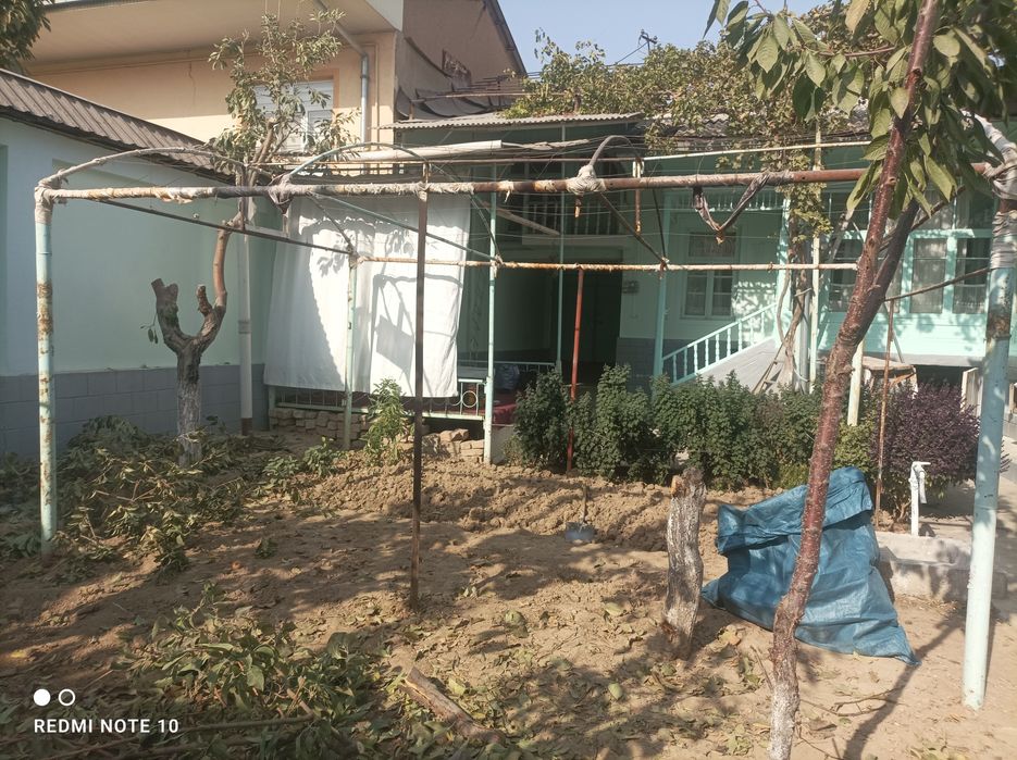 Tayyor teplitsa sotiladi