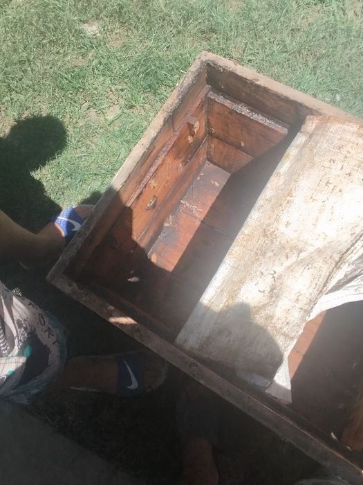 Улики для пчел .