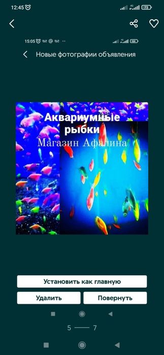 Аквариум подарок-круглый. р-н ул.Навои-Торайгырова