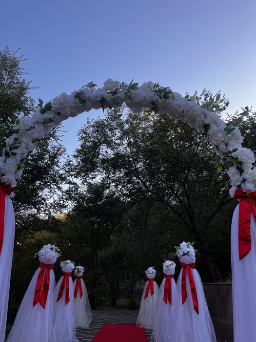 Арка Фотозона 2025