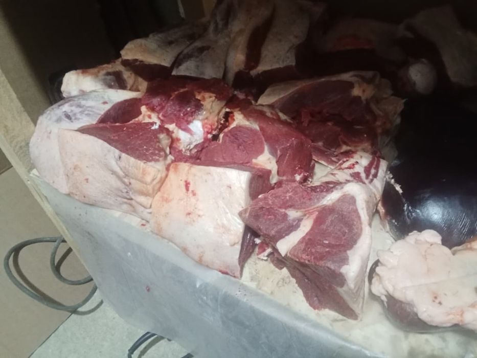 Продам Мясо байтал