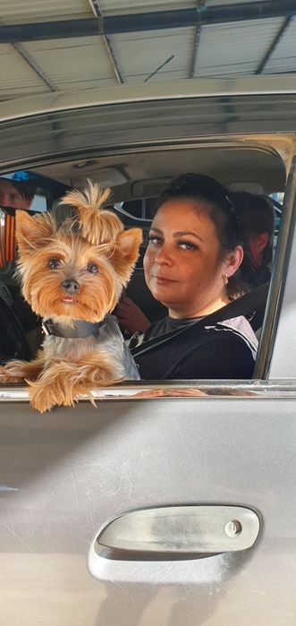 Воспитание вашего любимца