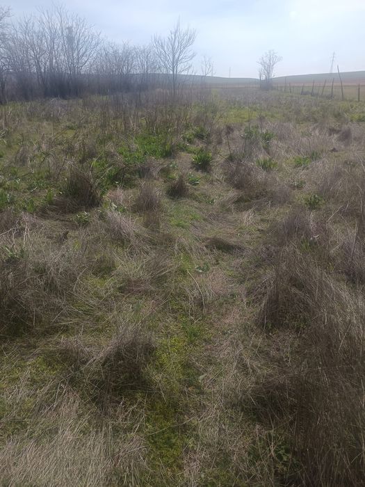 Vând teren intravilan în sibioara (constanta )