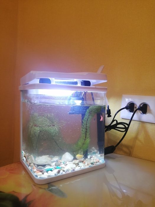 Продам аквариум маленький с рыбками
