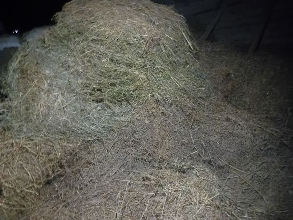 Бауланған шөп сатылады