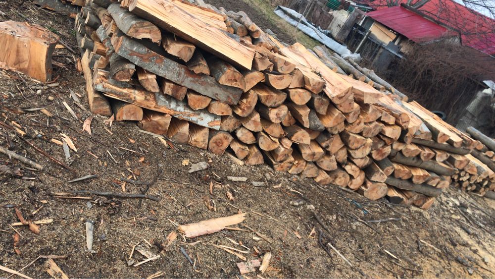 Lemn de foc fag 1234