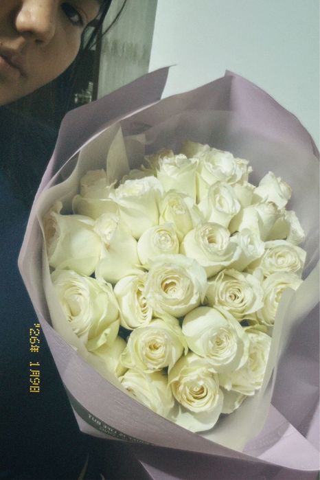 Белые розы 33штук