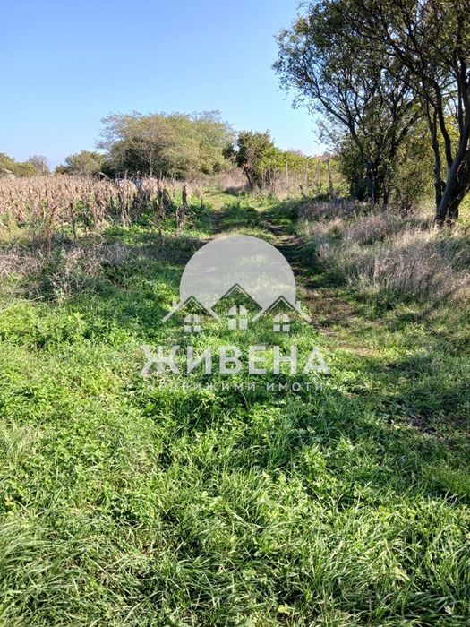 Продава се Парцел в с. Камен бряг, Област Добрич - 5602 кв.м за 13 €/кв.м - Снимка #12