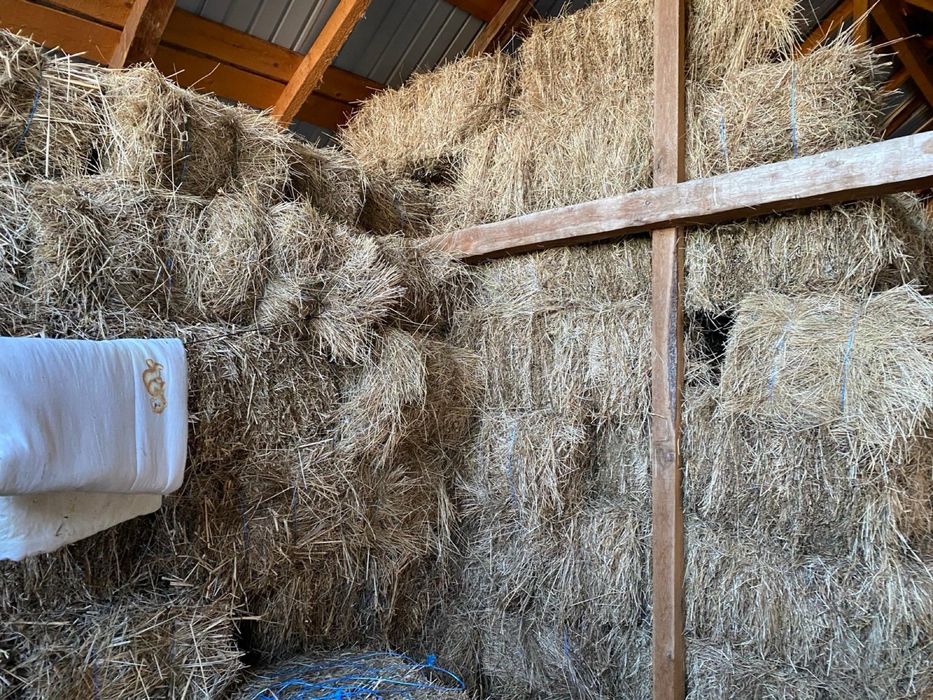 Vand baloti fan calitatea1 depozitati in conditii