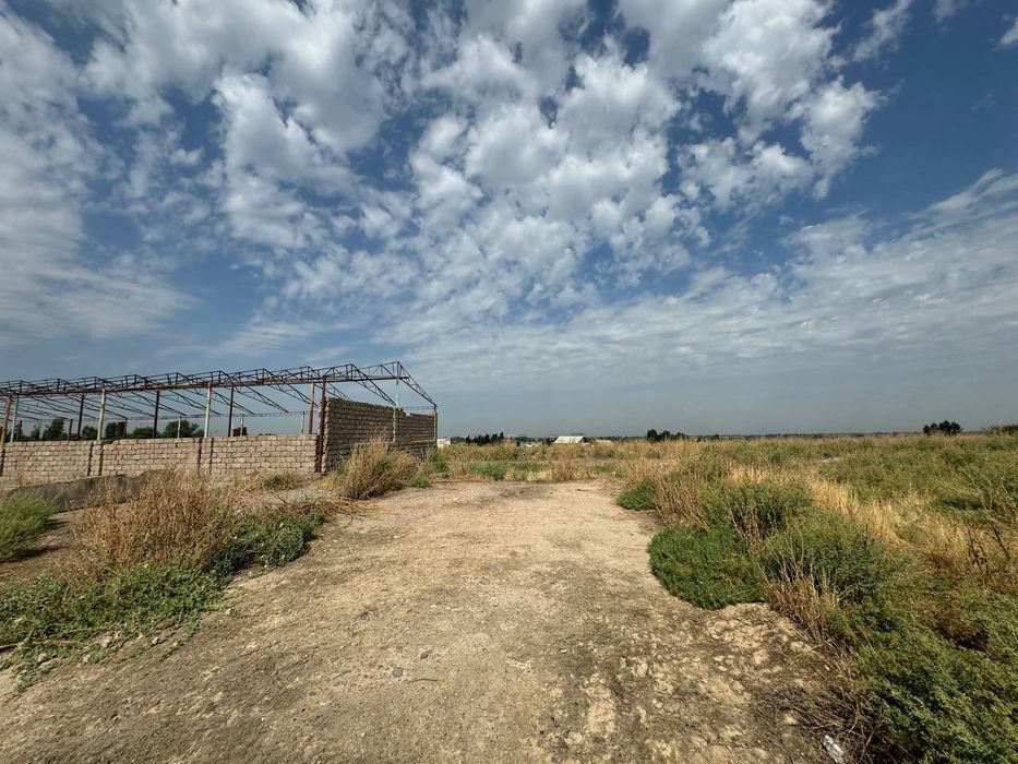 Ferma sotiladi yer narxida