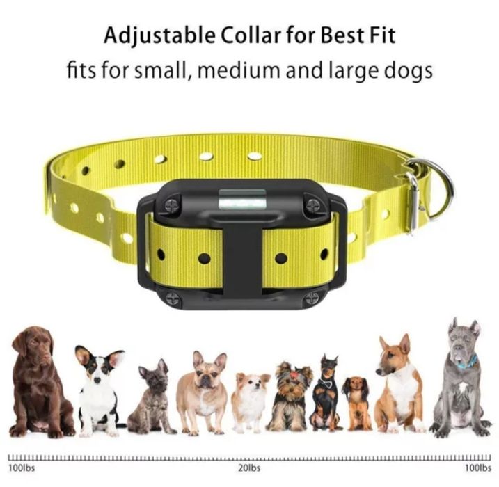 Каишки за кучета различен цвят