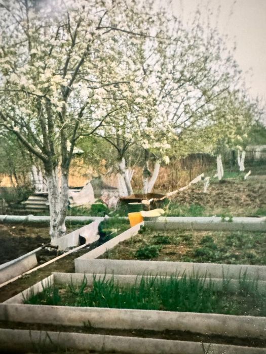 Сдается   дача