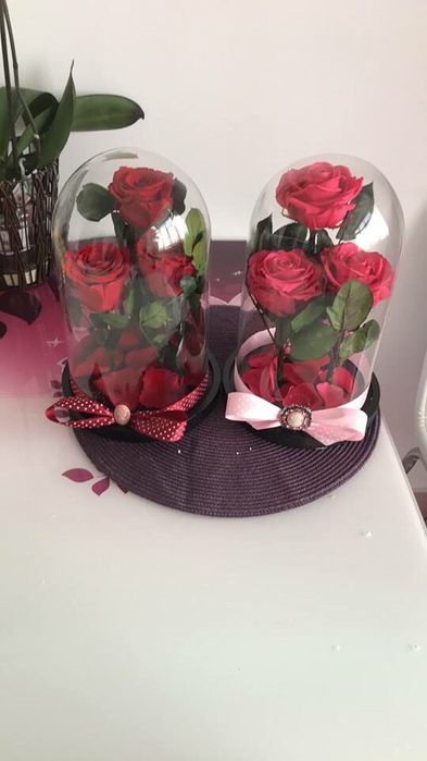 Trandafiri criogenati cadou ce rezista in timp