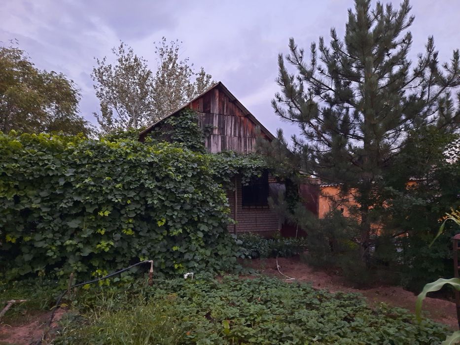 Продам дачу в черте города.