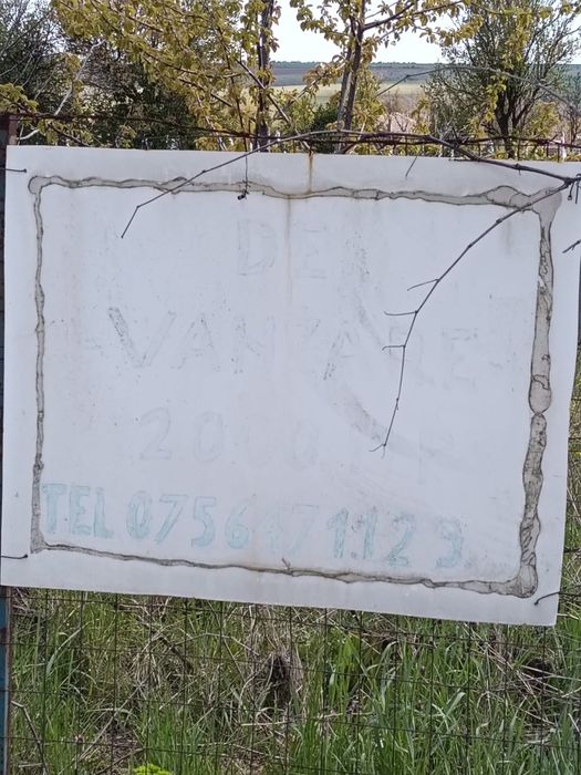 Vând casă în localitatea Albești și teren intravilan