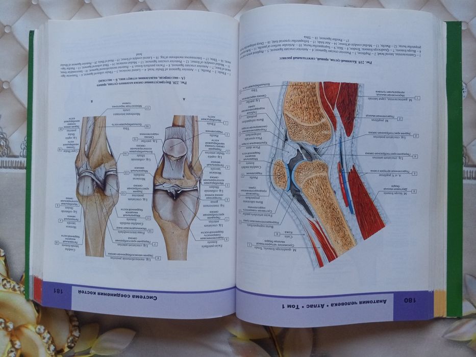 Atlas anatomiyasi sotiladi