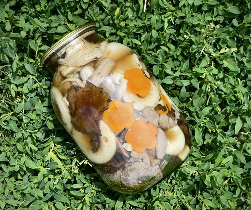 Маринованные грибы лесные