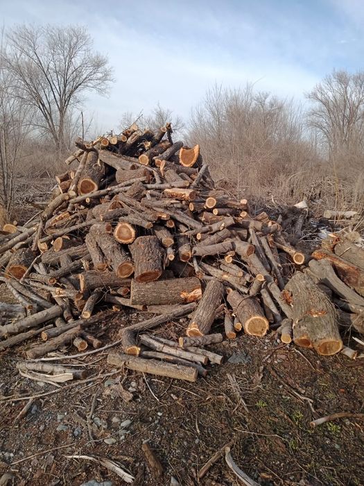 Дрова карагач самовывоз