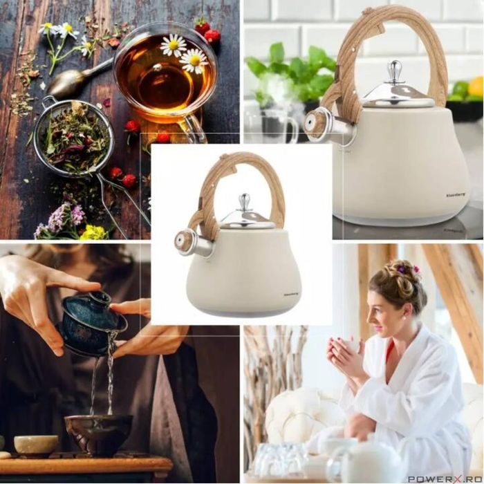 Ceainic, fierbator cu fluier, otel inoxidabil, bej cu elemente