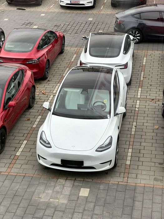 Service diagnoza Tesla