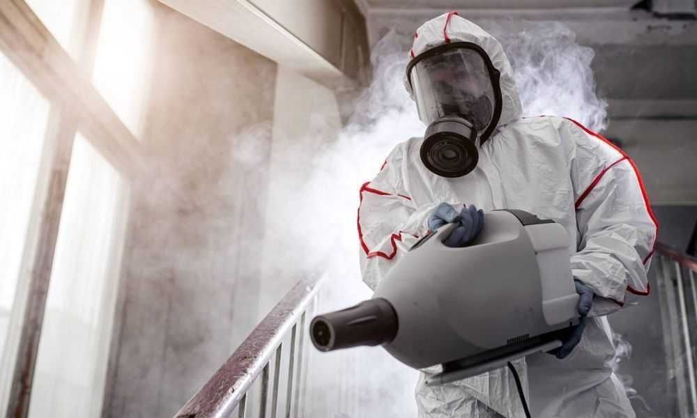 Дезинфекция от грызунов Крысы,Мыши. Dezinfeksiya Sichqon Kalamush 24/7