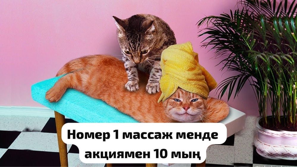 Акция 10 тыс массаж