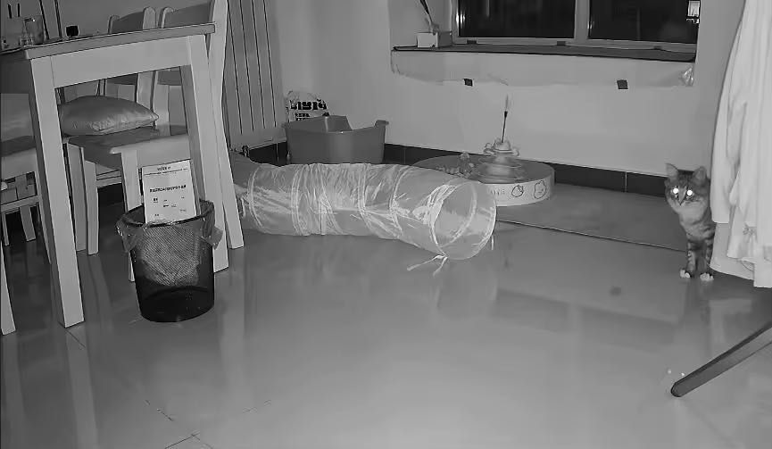 Camera spion în ceas