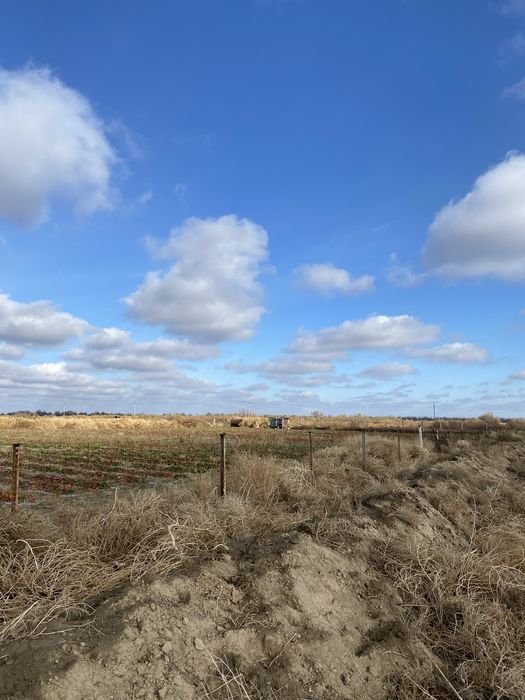 30га кх продаю 17 млн