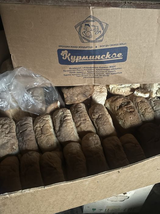 продам хлеб для животных