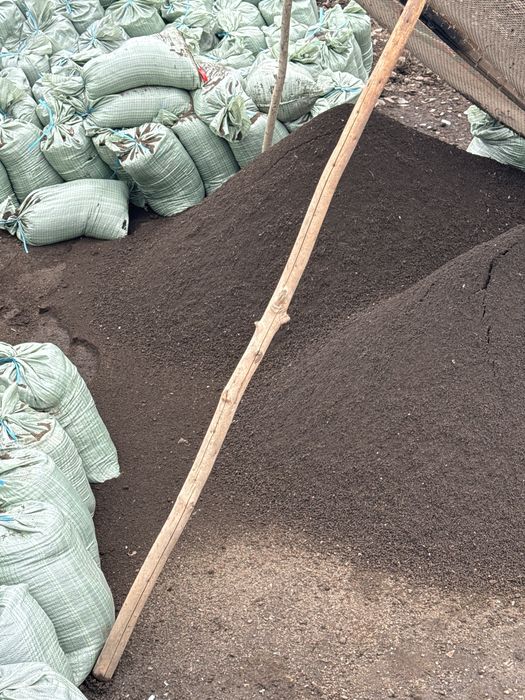 Biogumus Биогумус gazon urug’lariyam bor