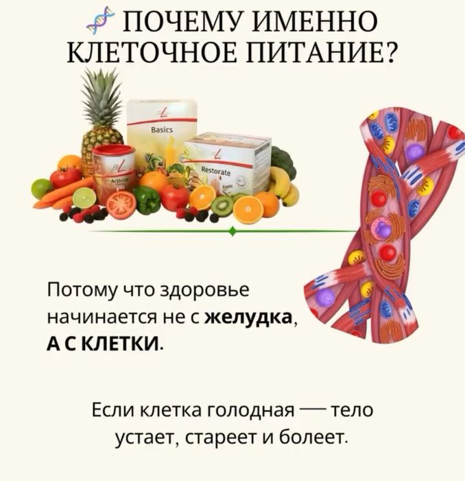 Клеточное питание